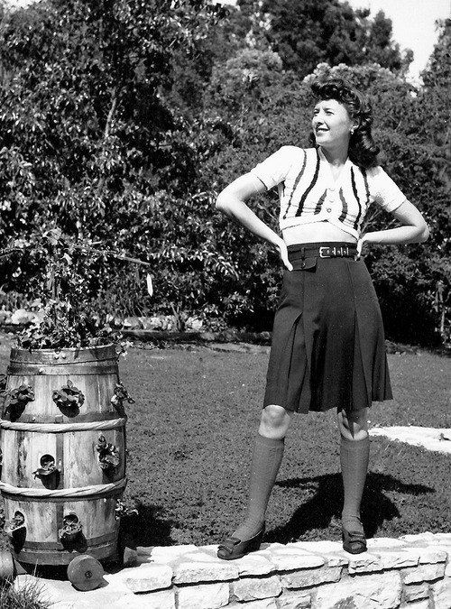 Barbara Stanwyck Barbara Stanwyck