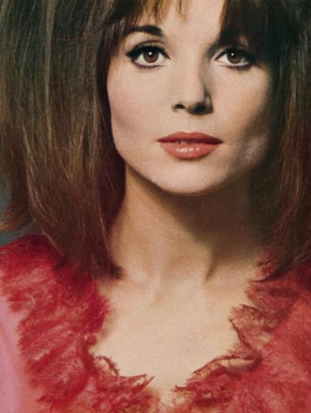 Elsa Martinelli Elsa Martinelli