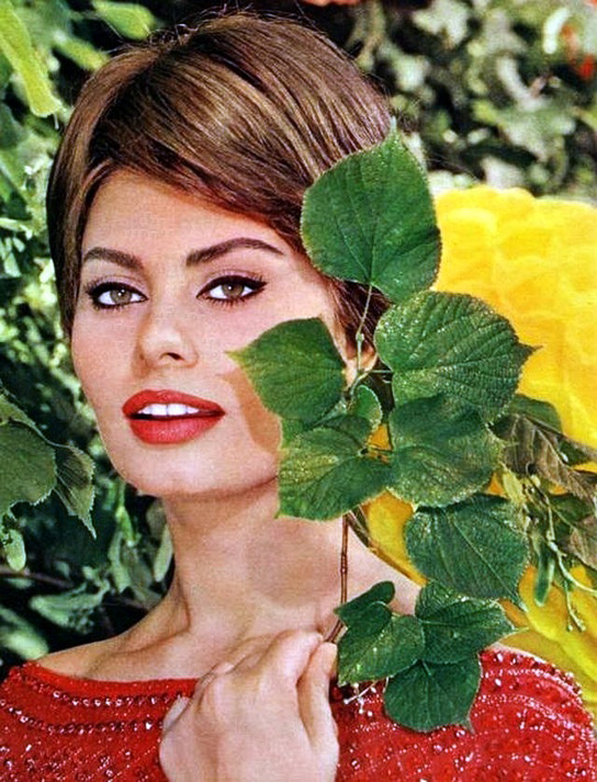 Sophia Loren