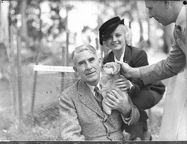 Zane Grey