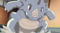 Rhydon