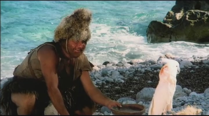 Il signor Robinson, mostruosa storia d'amore e d'avventure
