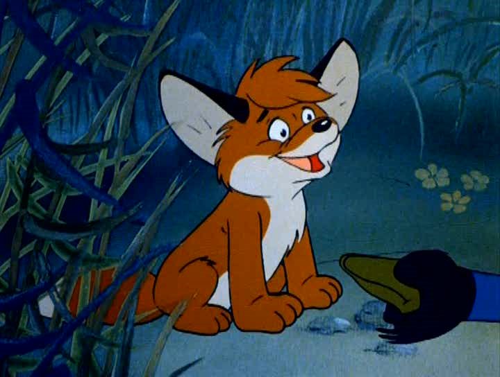 The Little Fox