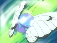 Butterfree