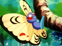 Butterfree