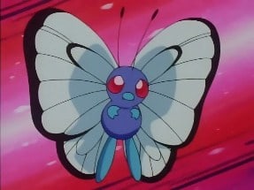 Butterfree