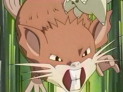 Raticate