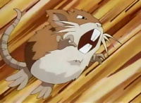 Raticate