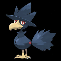 Murkrow