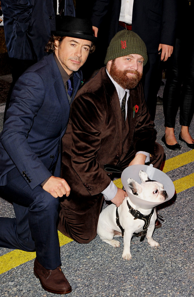 Zach Galifianakis Zach Galifianakis