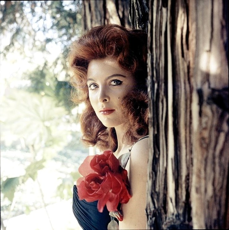 Tina Louise