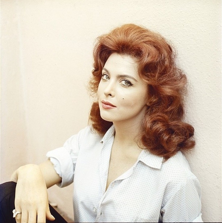 Tina Louise Tina Louise