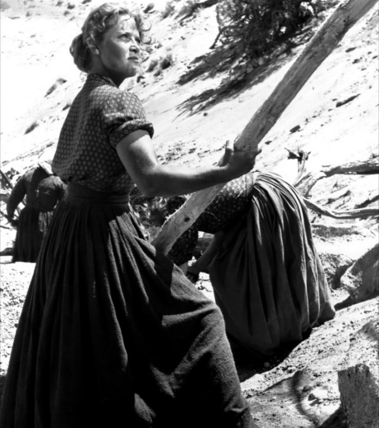 Westward the Women Westward the Women