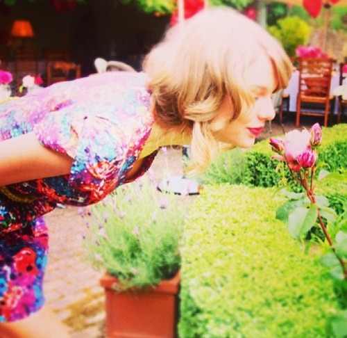 Taylor Swift