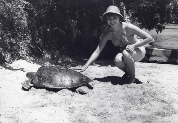 Joan Collins