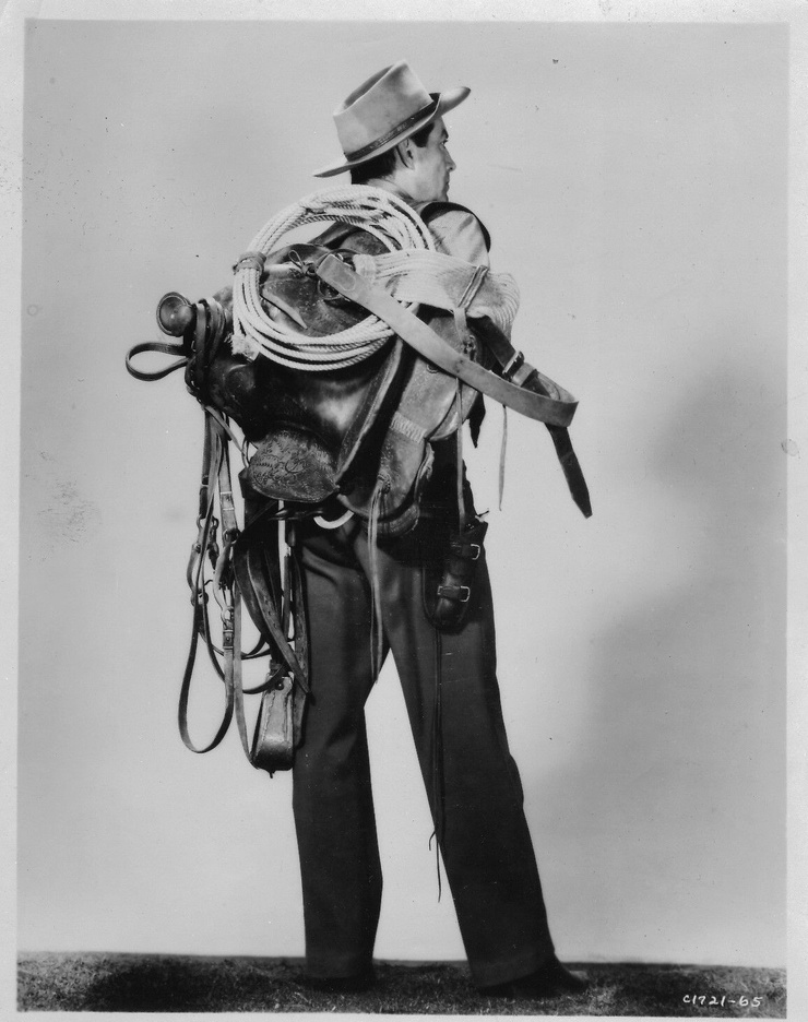 Saddle the Wind