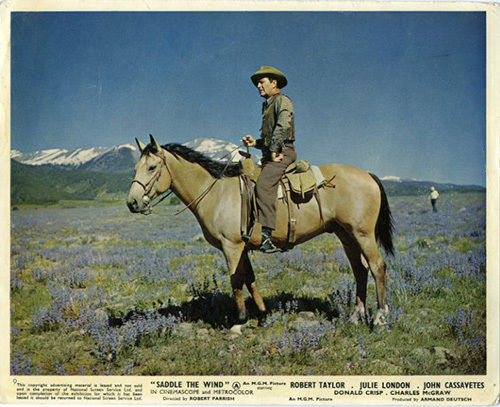 Saddle the Wind