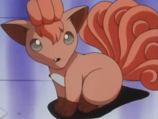 Brock's Vulpix