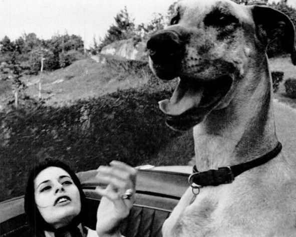 Ina Balin Ina Balin