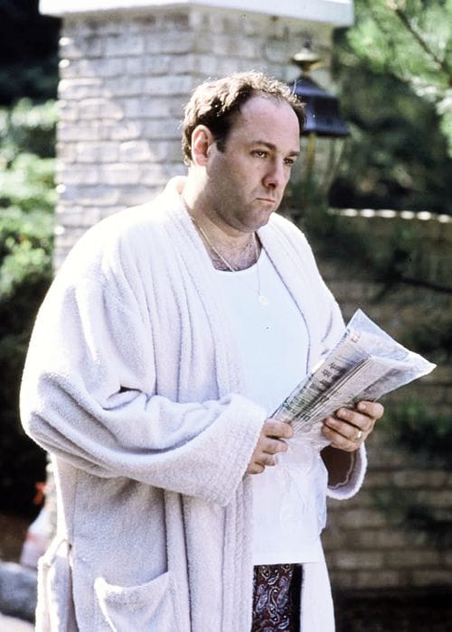 Picture of Tony Soprano