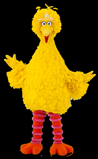 Picture of Big Bird