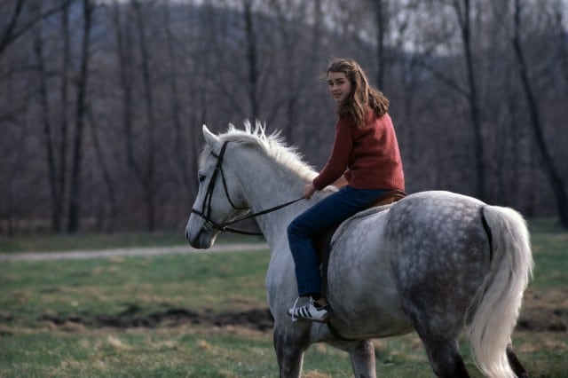 Brooke Shields