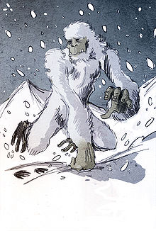 Yeti
