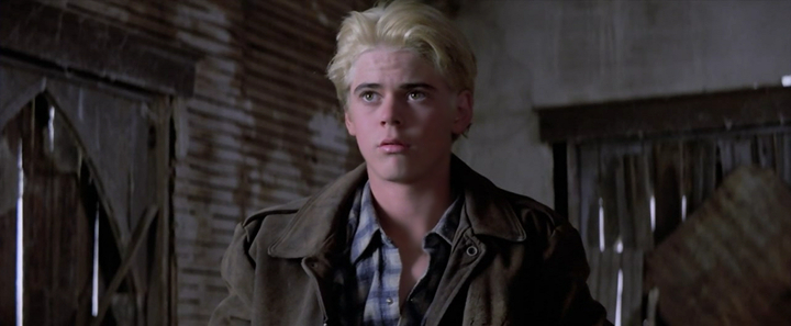 The Outsiders (1983) The Outsiders (1983)
