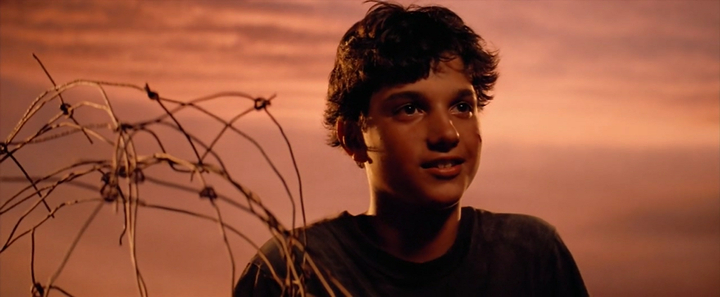 The Outsiders (1983)