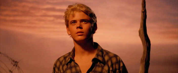 The Outsiders (1983)