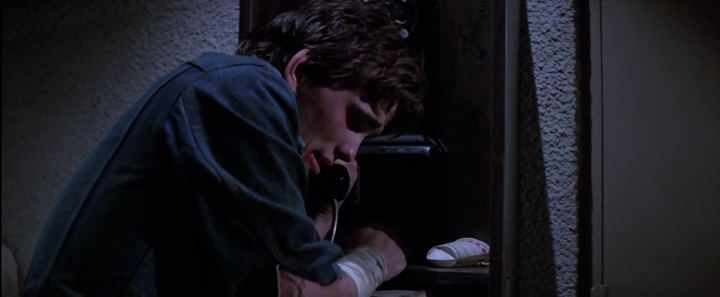 The Outsiders (1983) The Outsiders (1983)