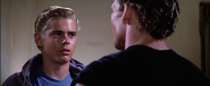 The Outsiders (1983) The Outsiders (1983)