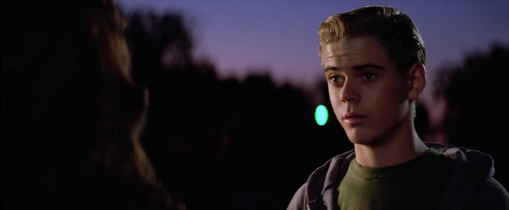 The Outsiders (1983)