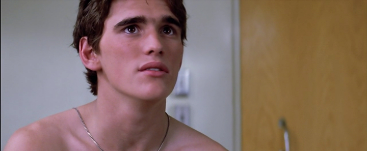 The Outsiders (1983) The Outsiders (1983)