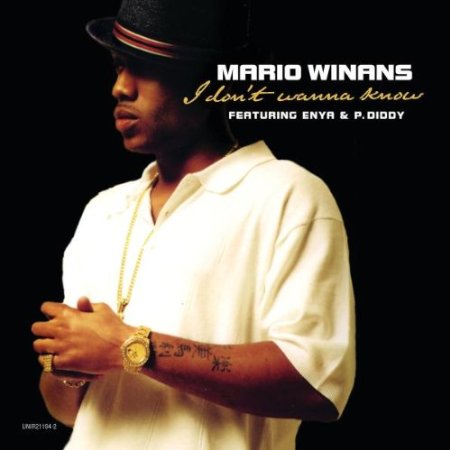 I Don't Wanna Know (feat. Enya & P.Diggy)