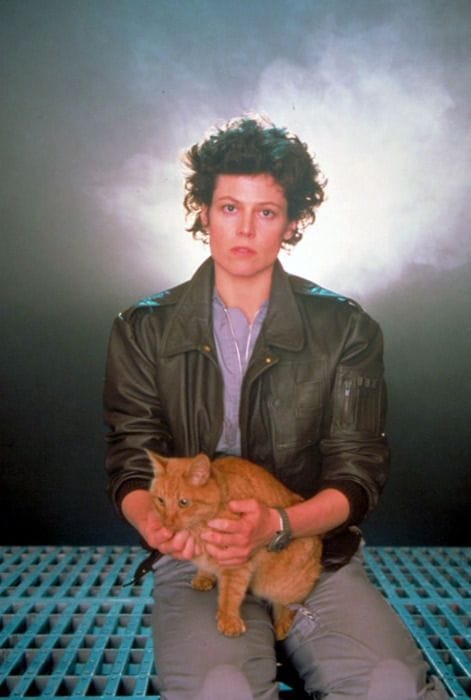 Picture of Ellen Ripley