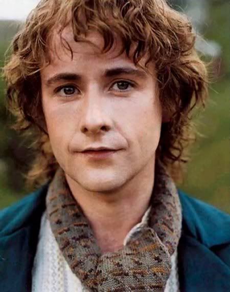 Peregrin Took