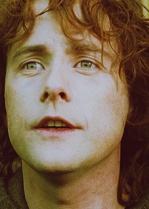 Peregrin Took