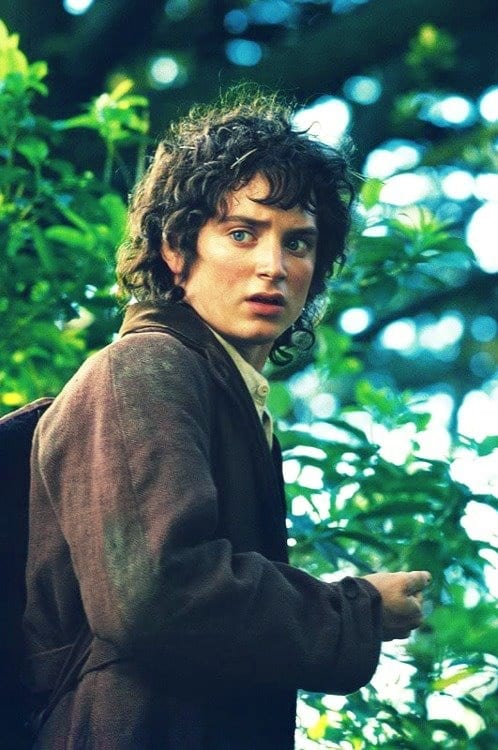 Frodo Baggins