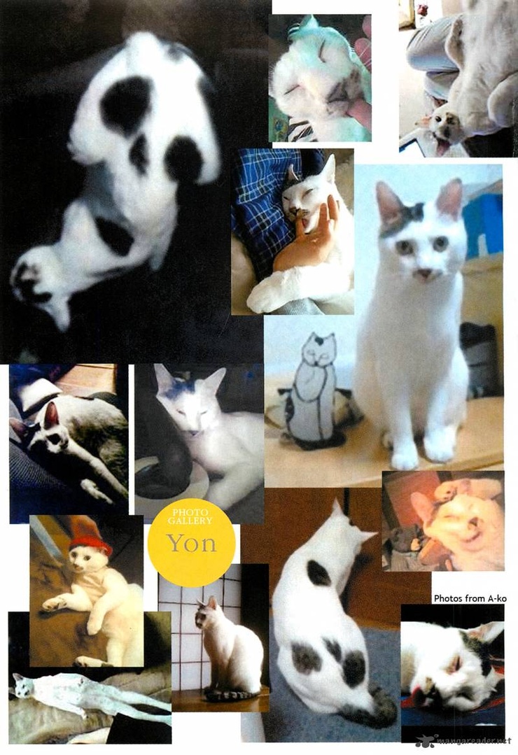 Ito Junji's Cat Diary: Yon & Mu