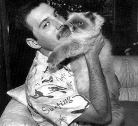 Freddie Mercury
