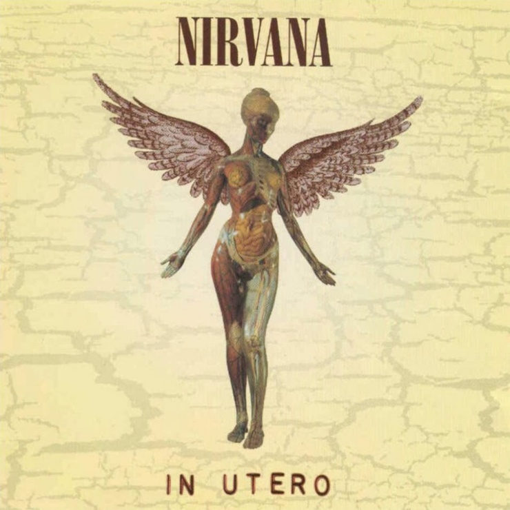 NOT Correct Album