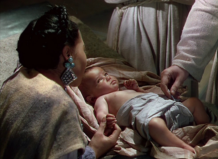 Black Narcissus Black Narcissus