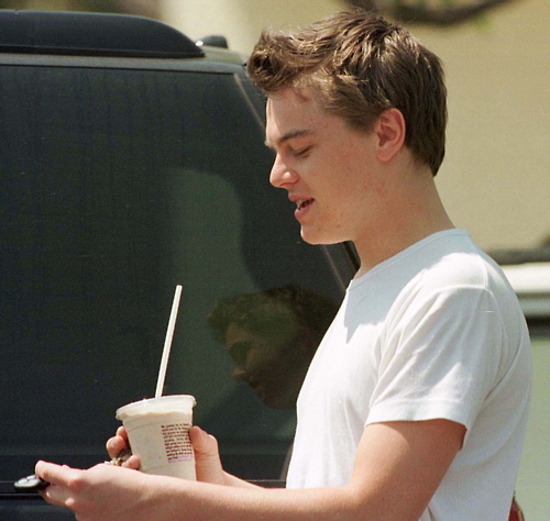Leonardo DiCaprio