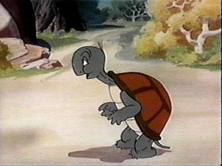 Cecil Turtle