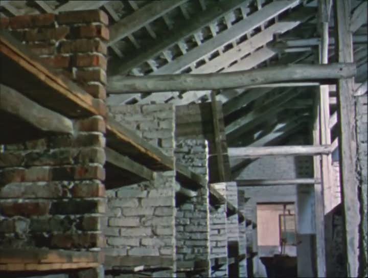 Night and Fog (1955)