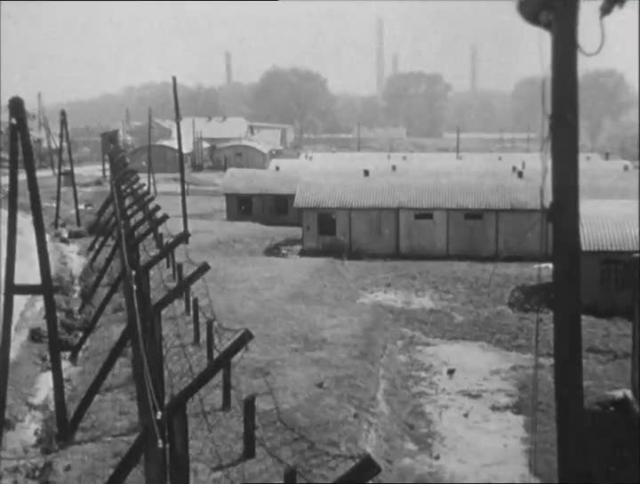 Picture of Night and Fog (1955)