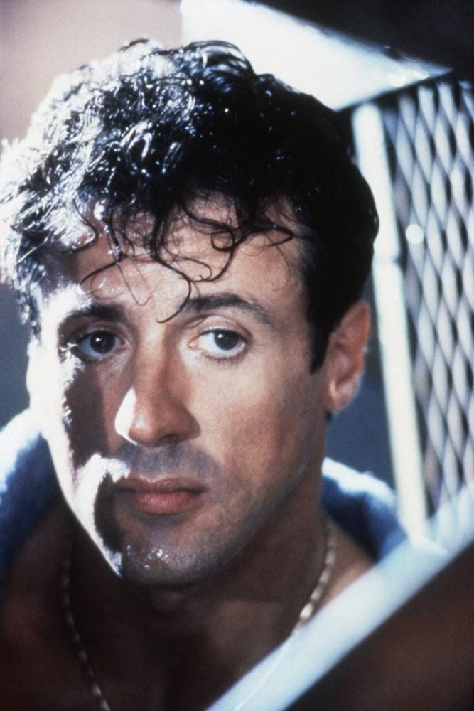 Picture of Sylvester Stallone