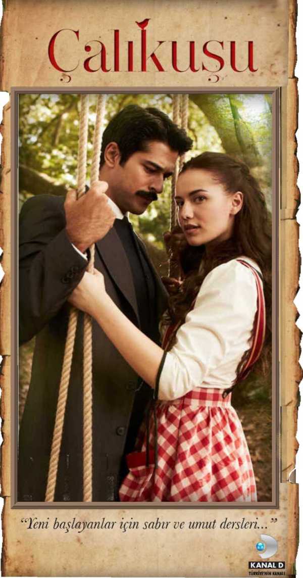 Çalikusu                                  (2013-2014)