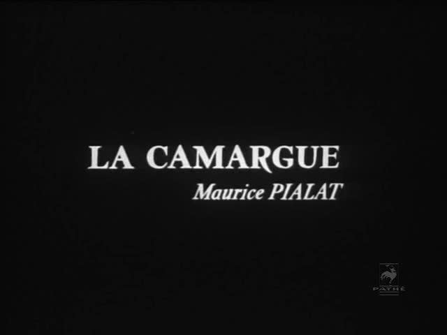 La Camargue